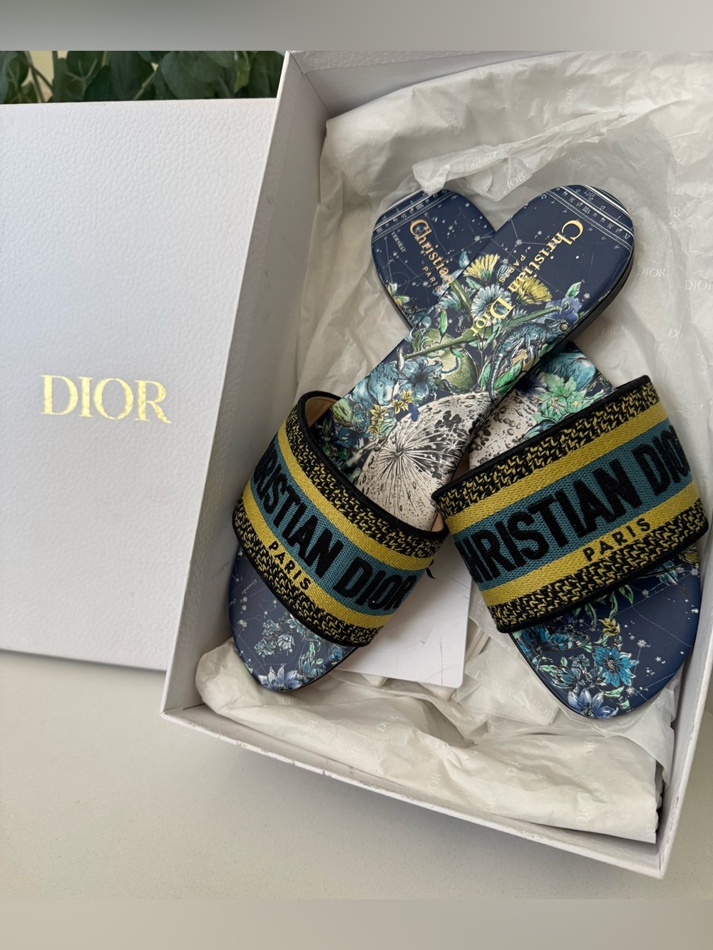 Christian Dior  Dway Slides -2021